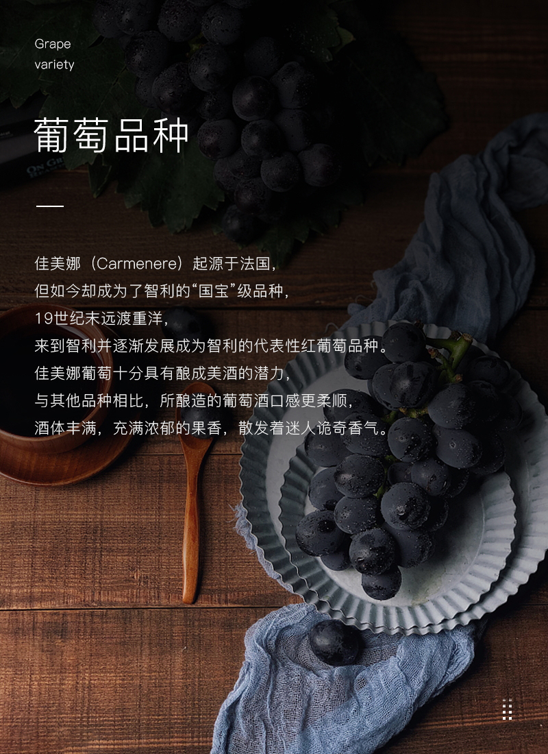 雷盛红酒419智利佳美娜干红葡萄酒(图4)