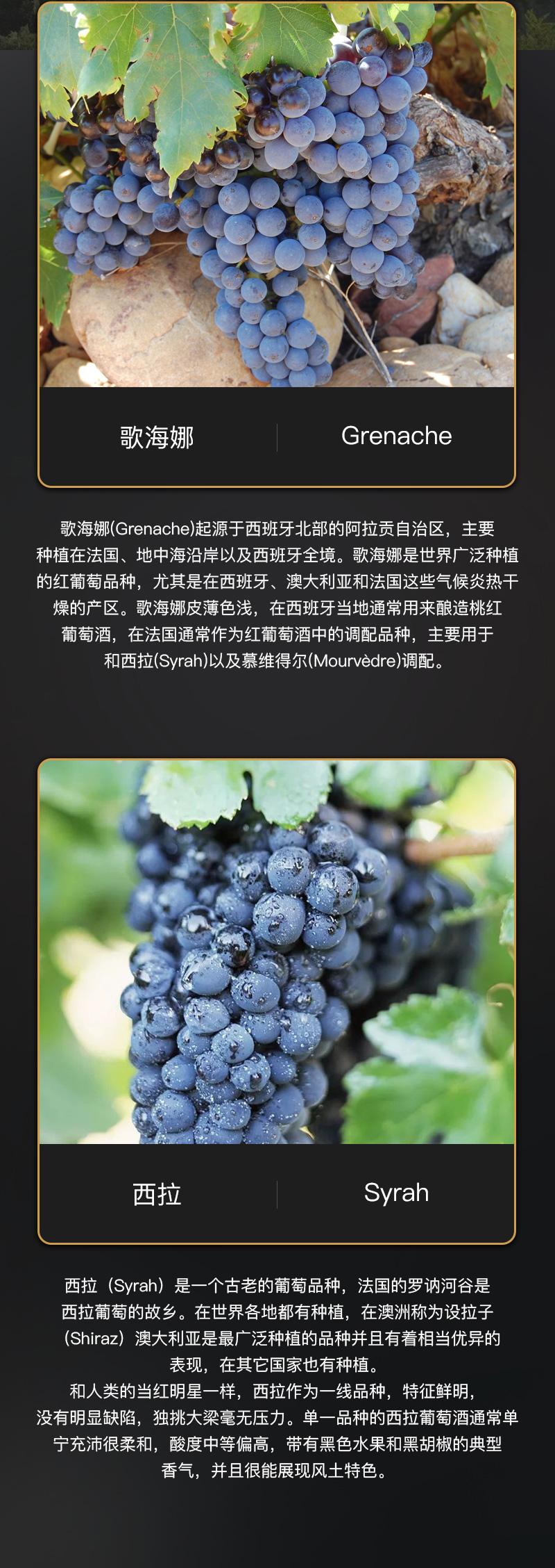 雷盛红酒818法国豪华AOC干红葡萄酒(图4)